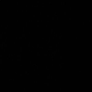 Meet your Posher, Giana